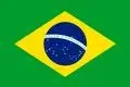 Portuguese Language